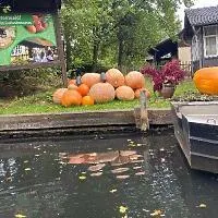 Отзыв клиента Ирина Довжанская о Vizitka.com<sup>®</sup>