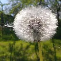 Відгук клієнта Лілія  про Vizitka.com<sup>®</sup>