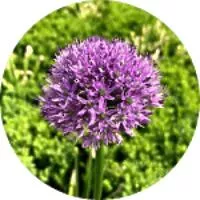 Отзыв клиента Юлия Егорова о Vizitka.com<sup>®</sup>
